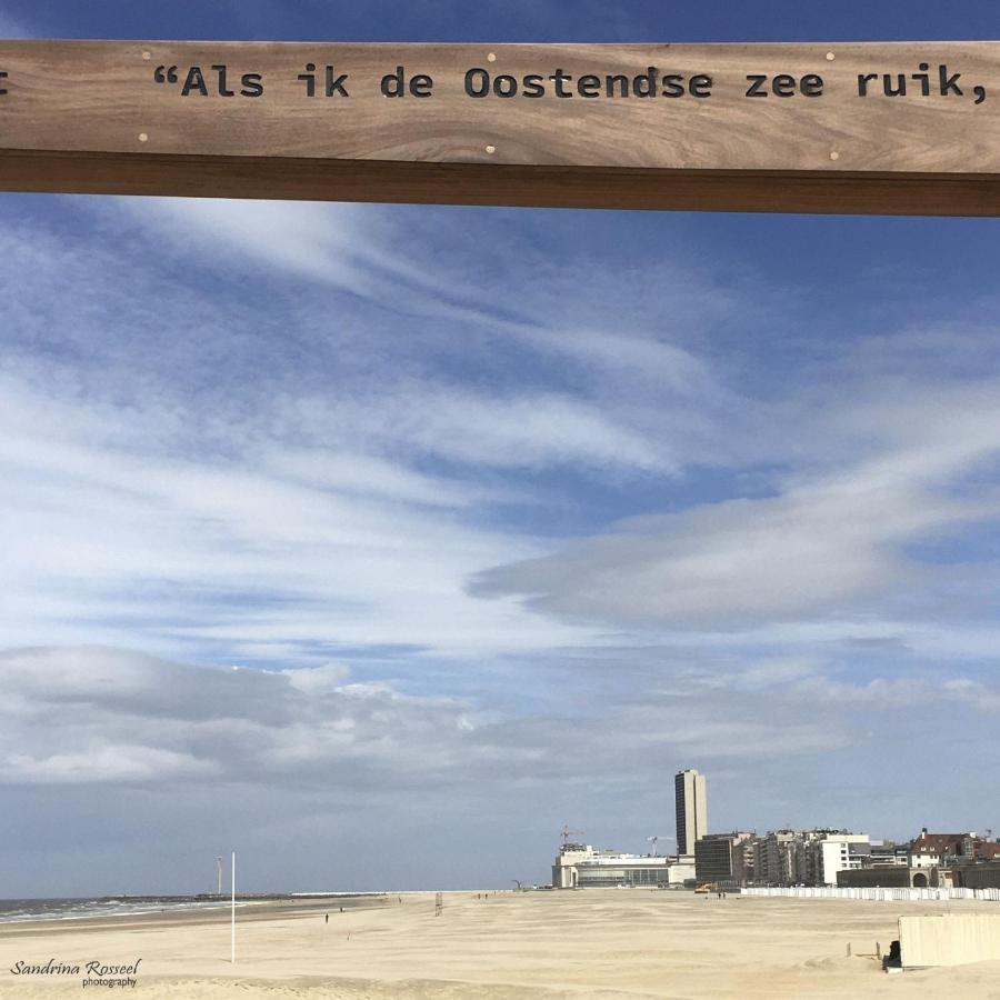 Knappe Studio Met Subliem Zeezicht! Ostende Exterior foto